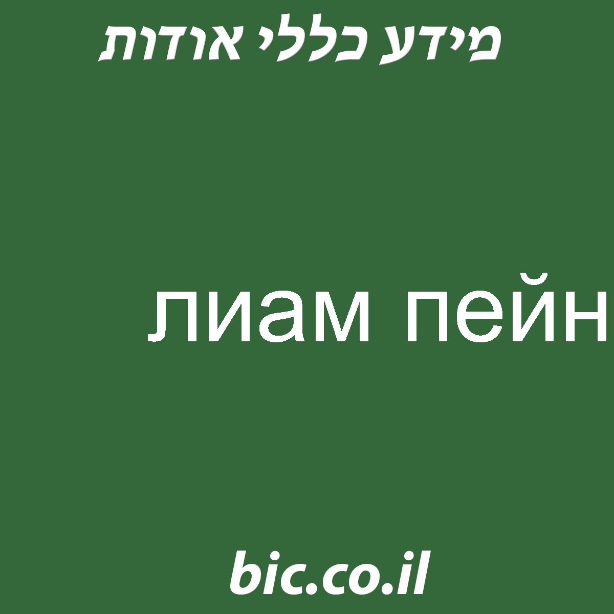 ﻿лиам пейн