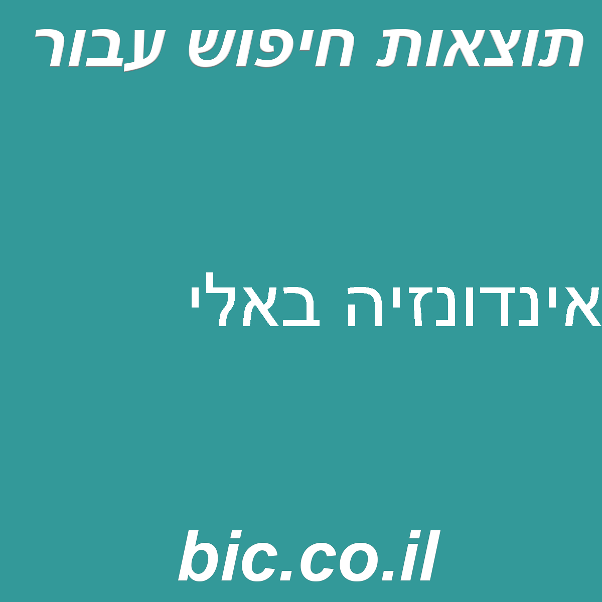 ﻿אינדונזיה באלי