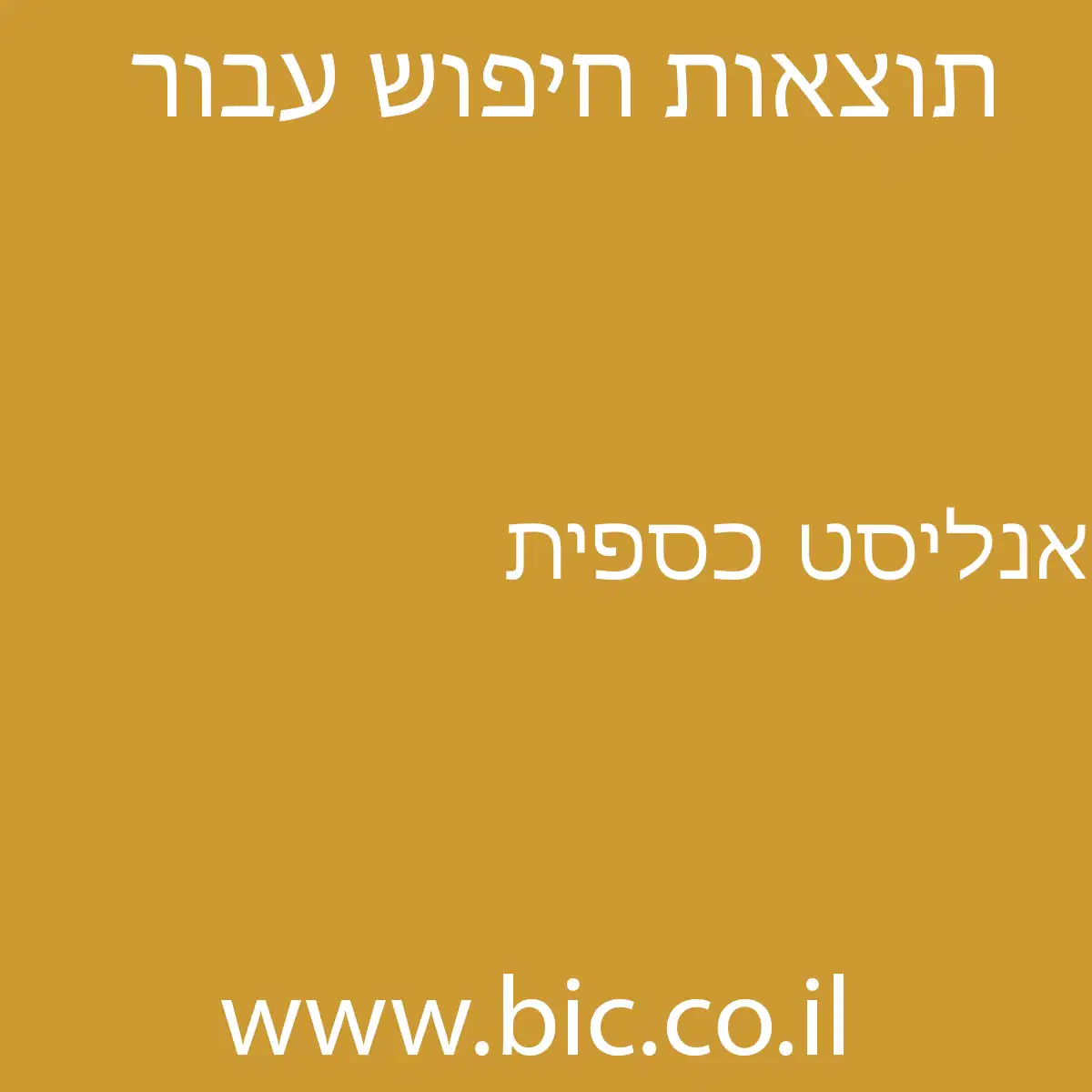 ﻿אנליסט כספית