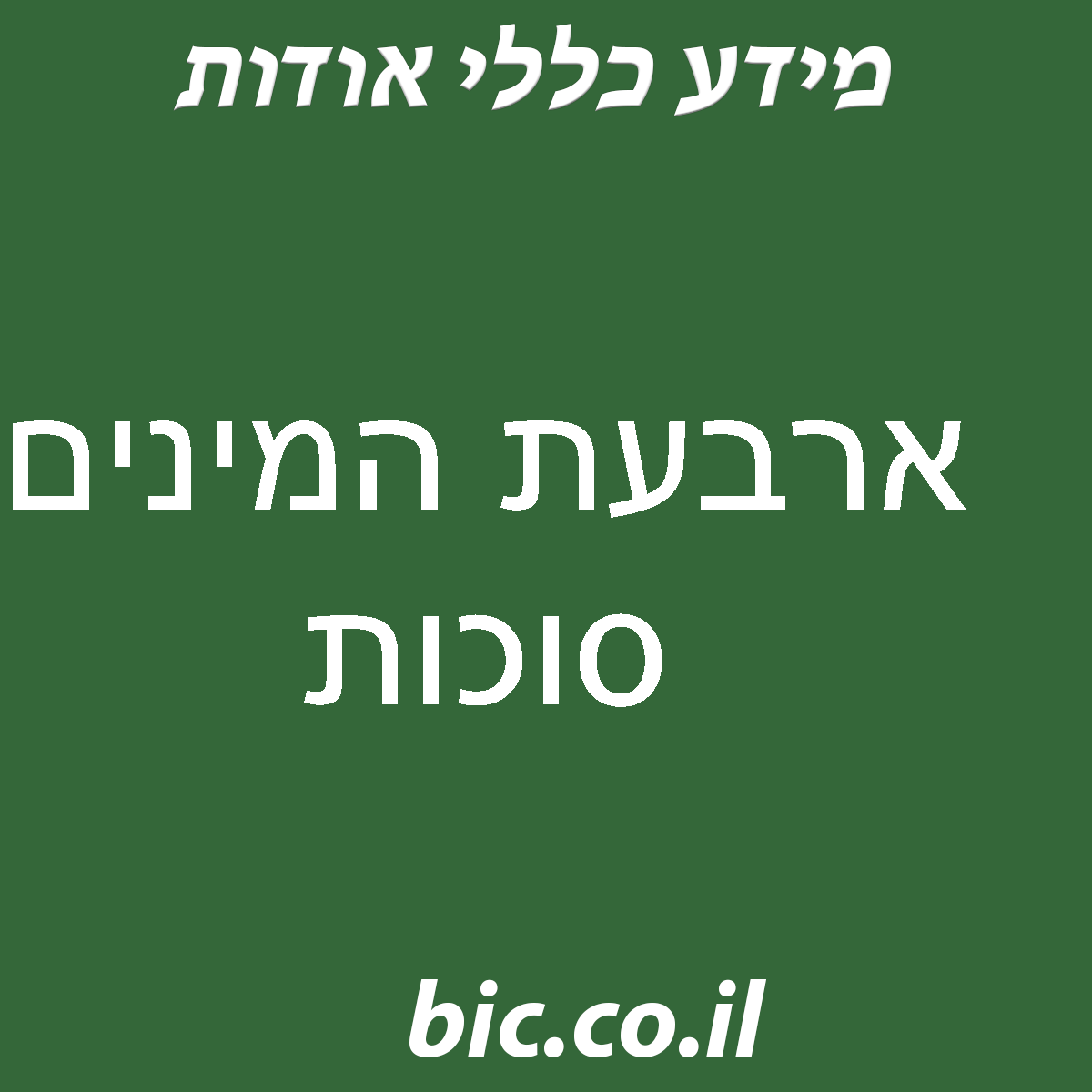 ﻿ארבעת המינים סוכות