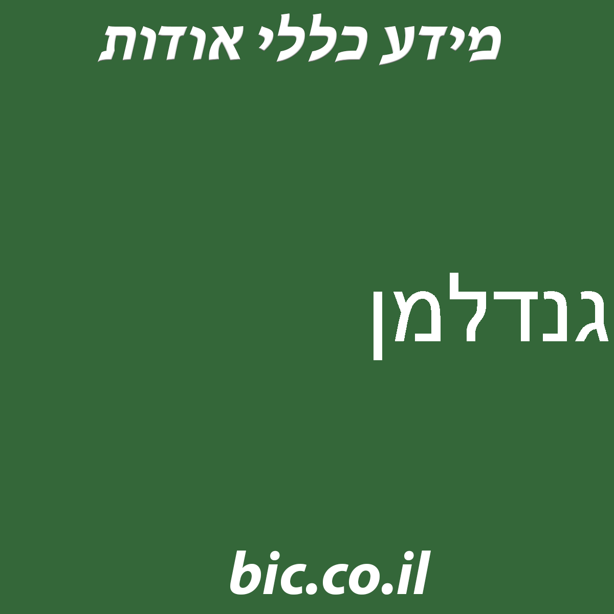 ﻿גנדלמן