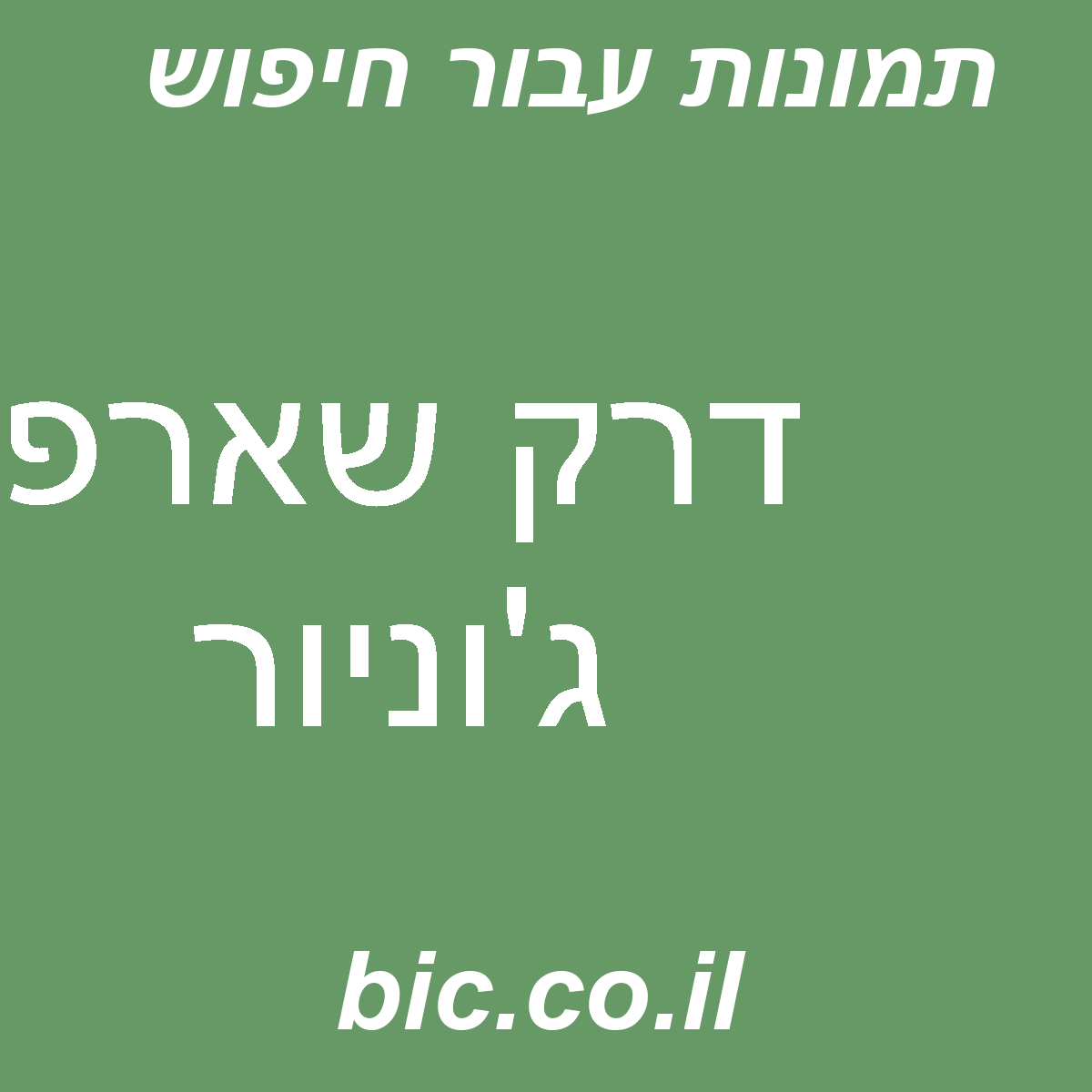 ﻿דרק שארפ ג’וניור
