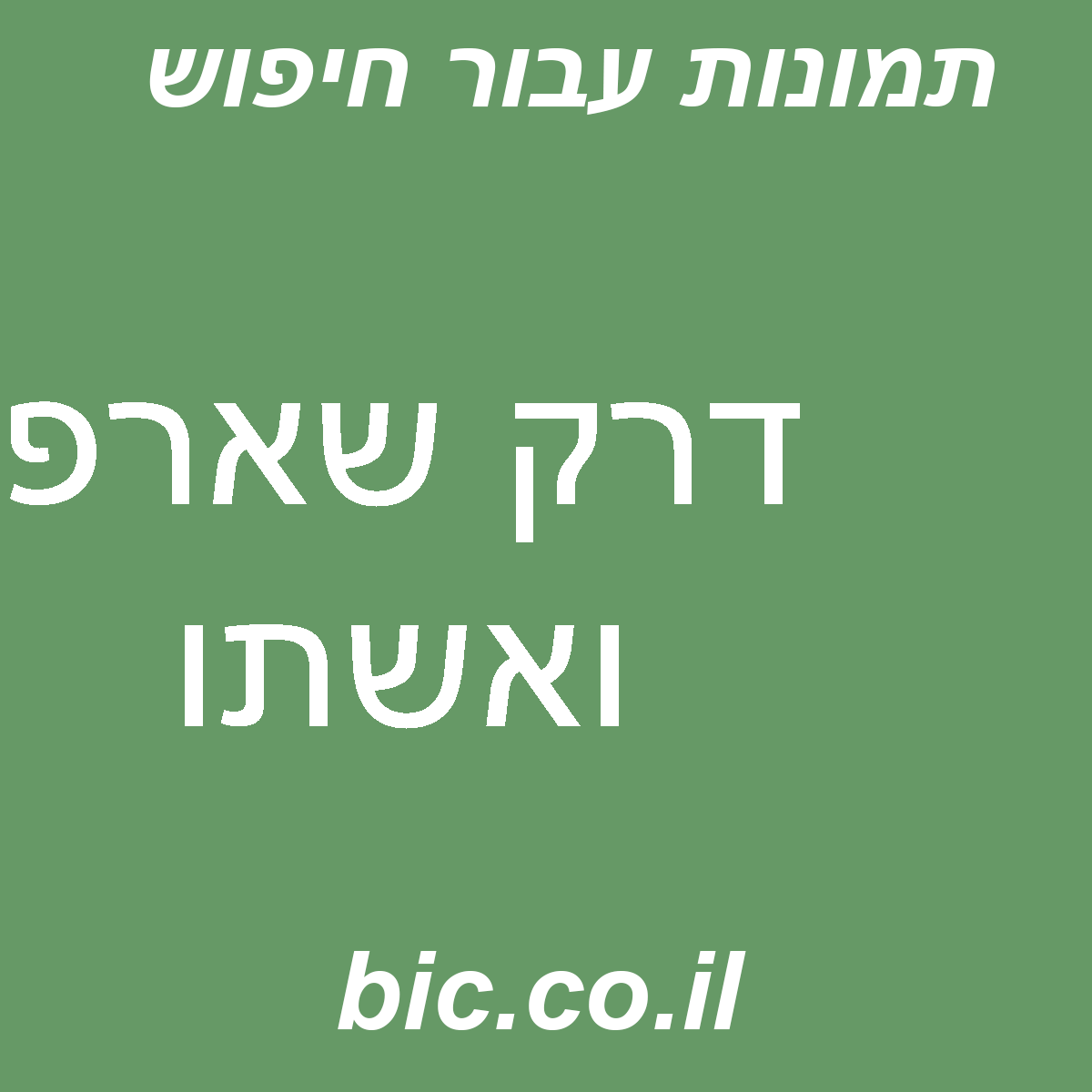 ﻿דרק שארפ ואשתו