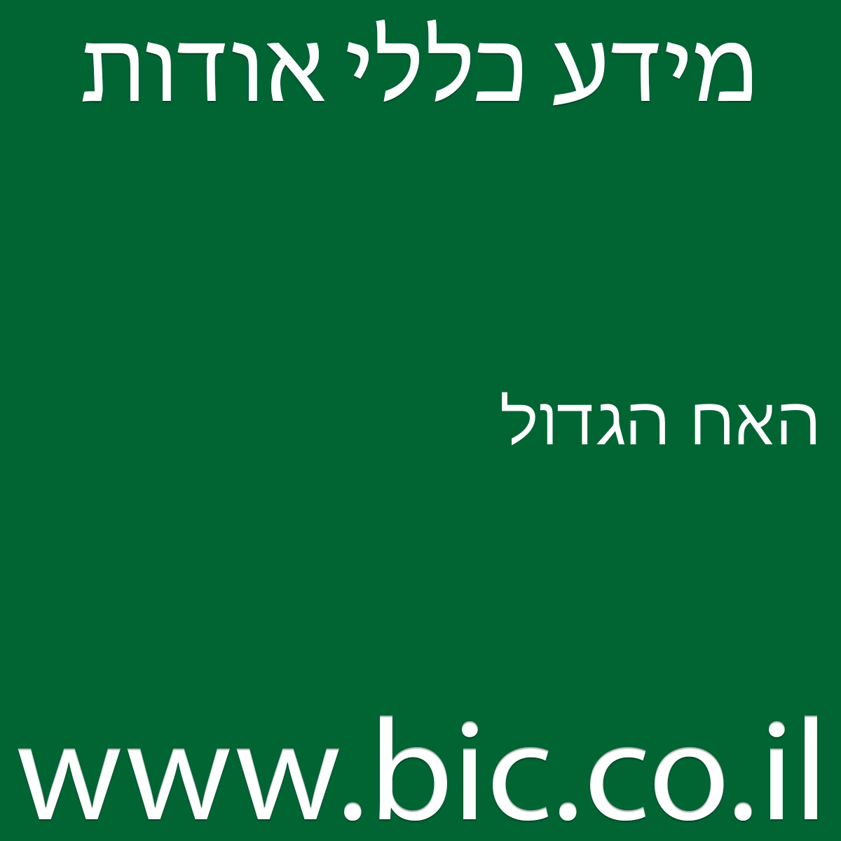 ﻿האח הגדול