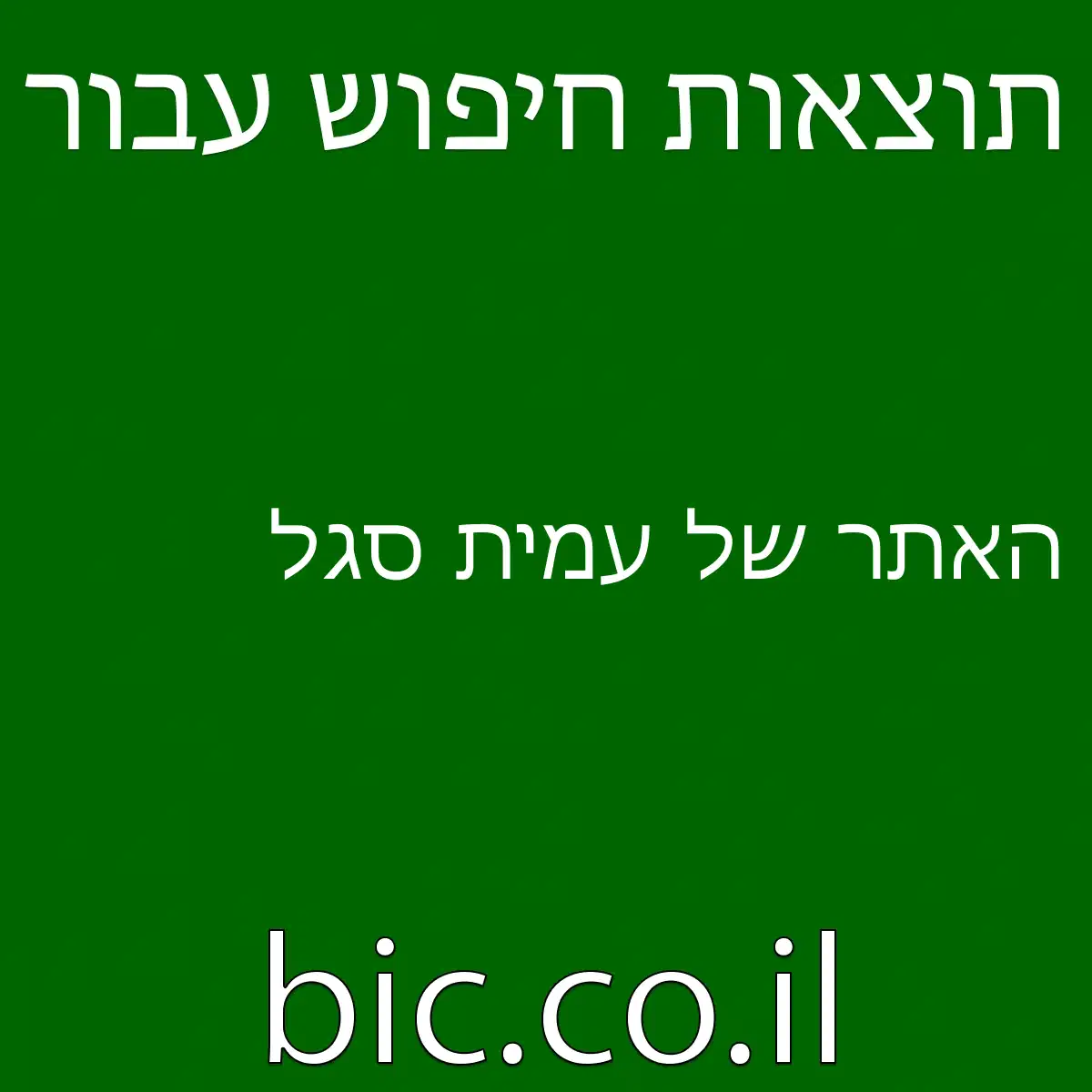 ﻿האתר של עמית סגל