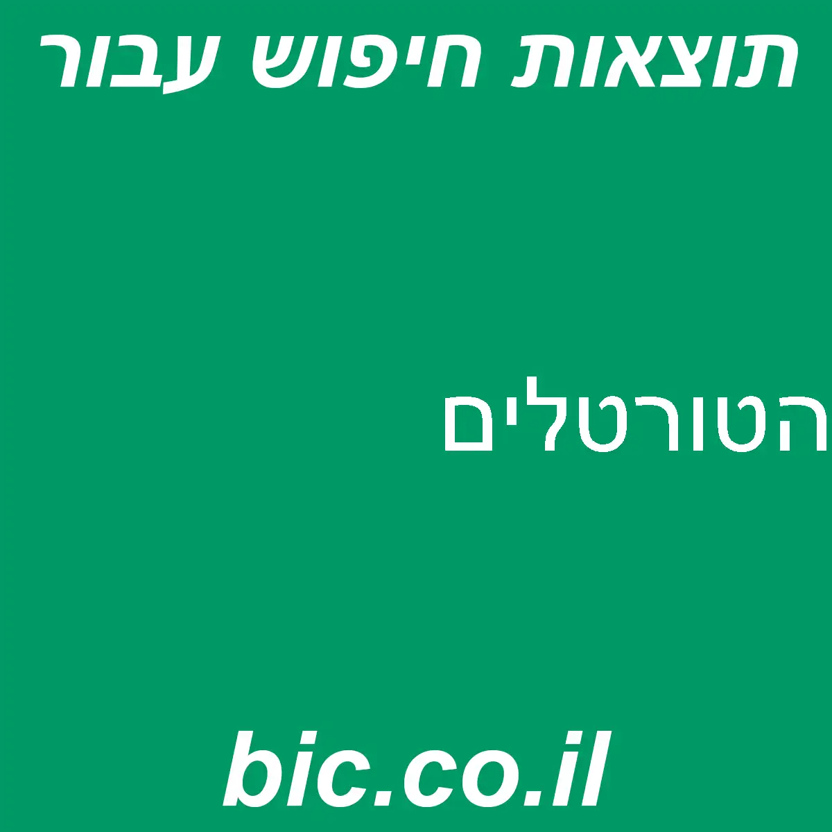 ﻿הטורטלים