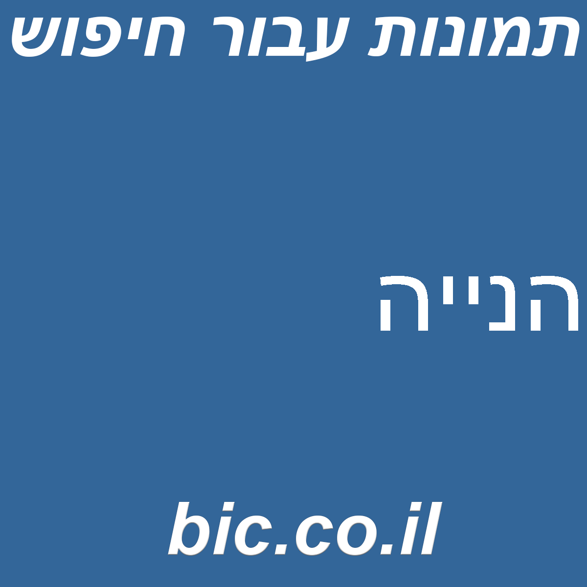 ﻿הנייה