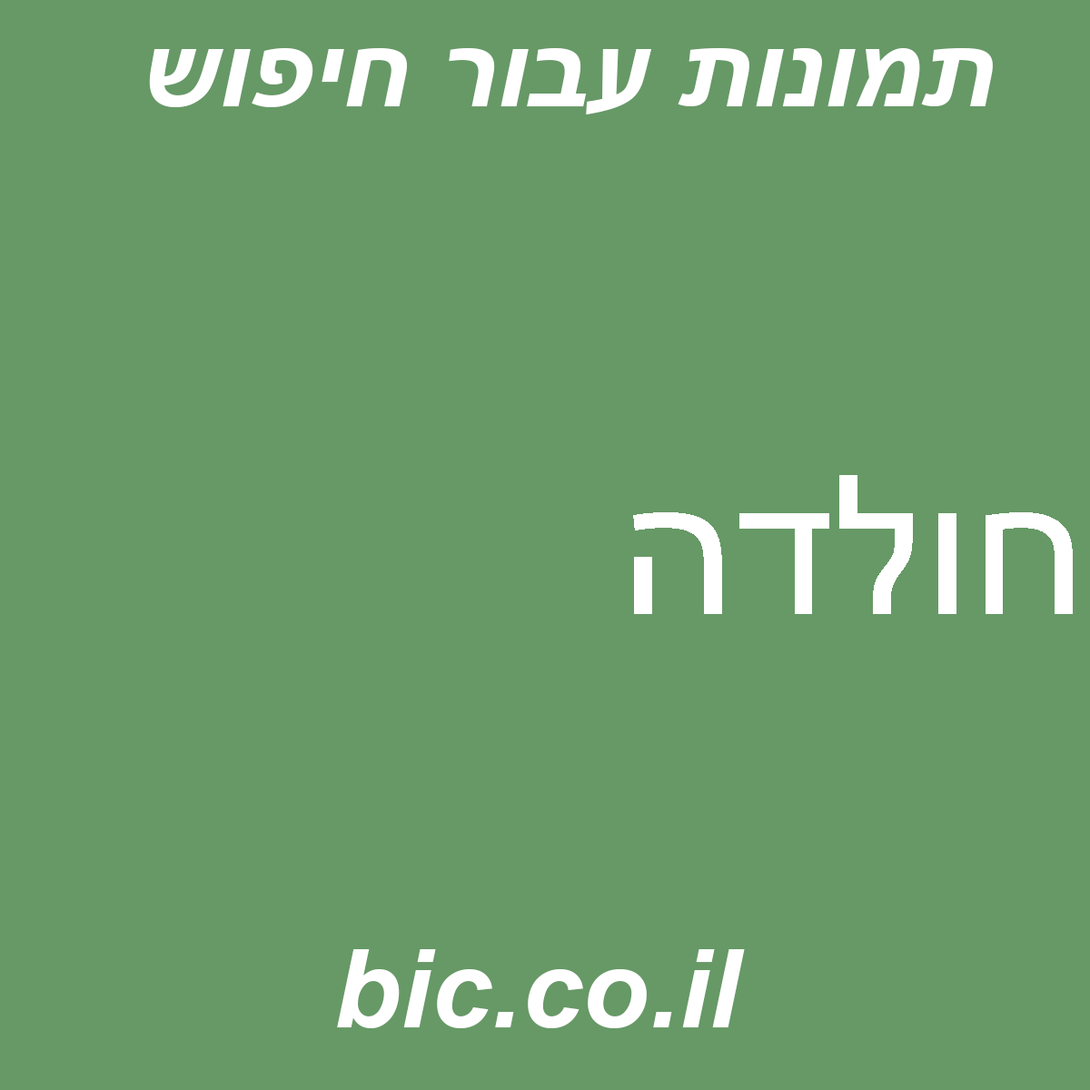 ﻿חולדה