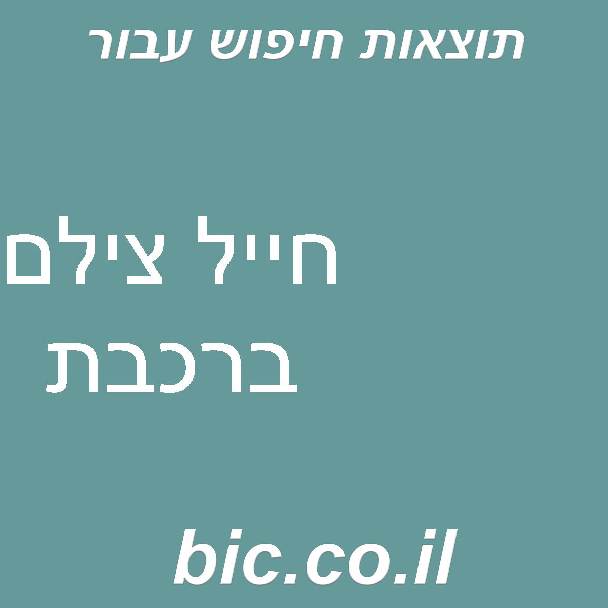 ﻿חייל צילם ברכבת