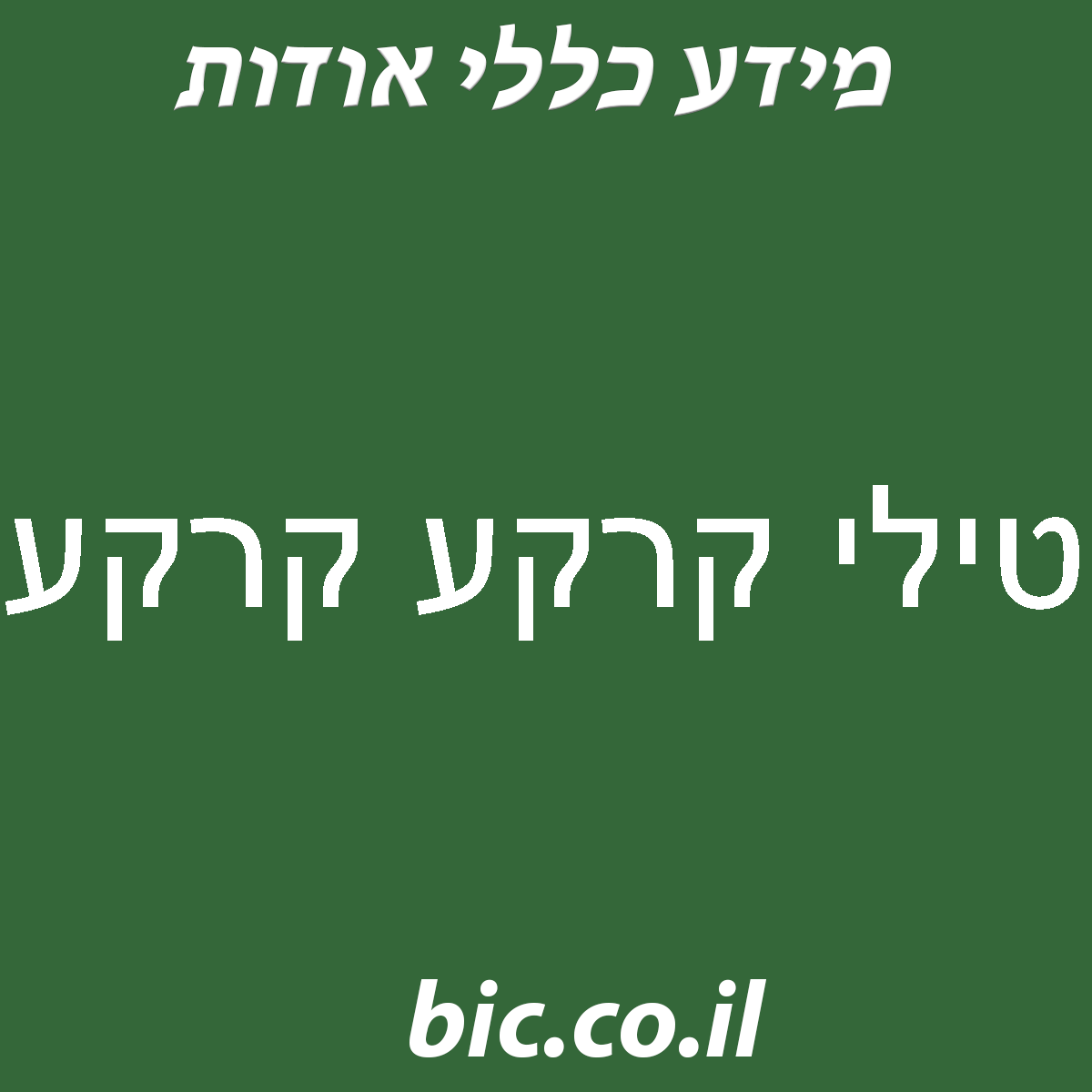 ﻿טילי קרקע קרקע