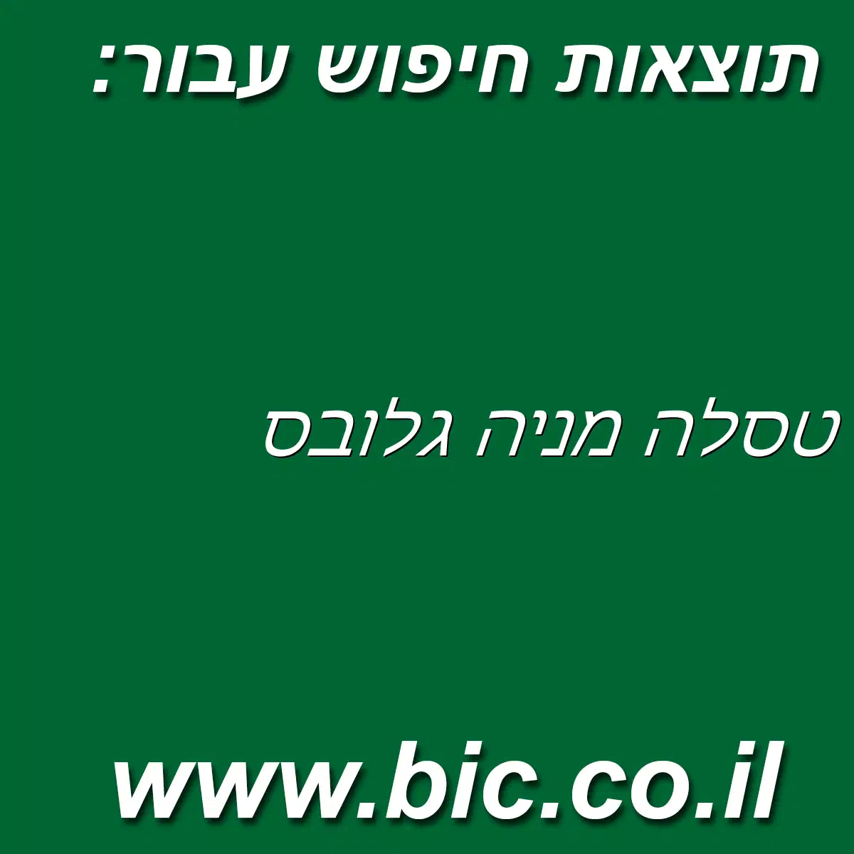 ﻿טסלה מניה גלובס