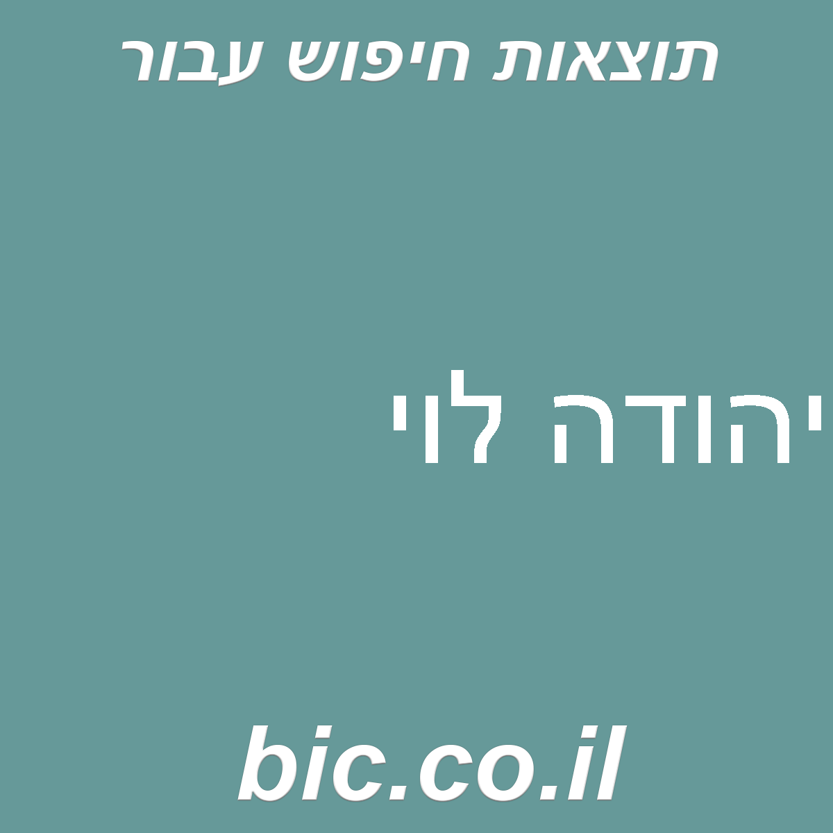 ﻿יהודה לוי