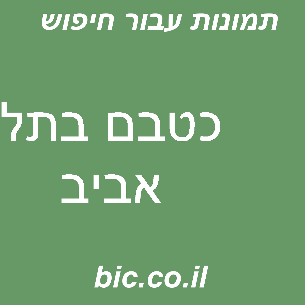 ﻿כטבם בתל אביב