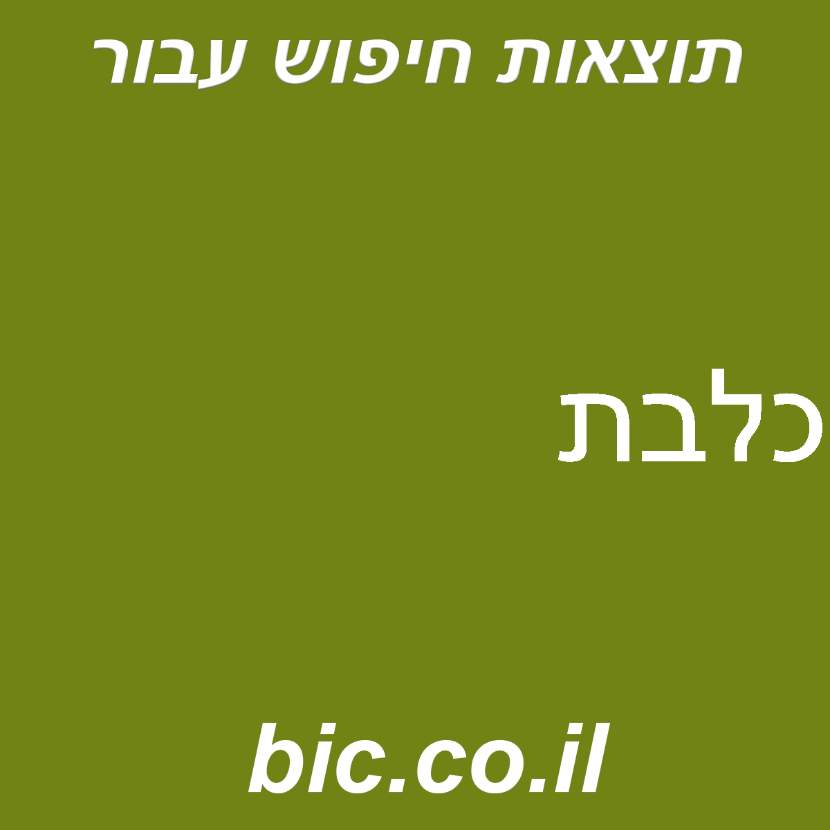 ﻿כלבת
