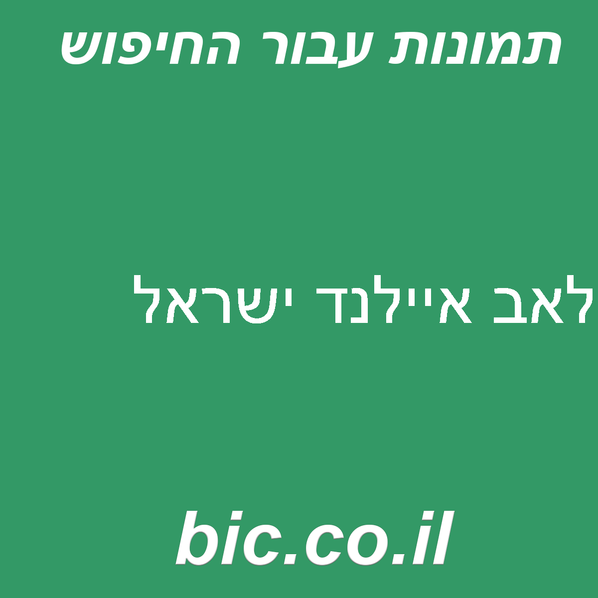 ﻿לאב איילנד ישראל