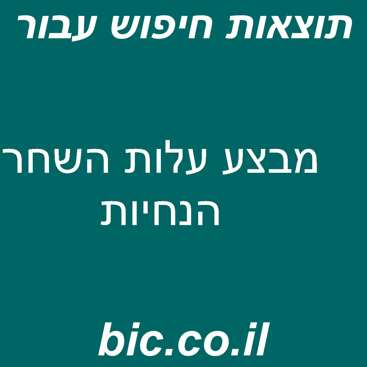 ﻿מבצע עלות השחר הנחיות