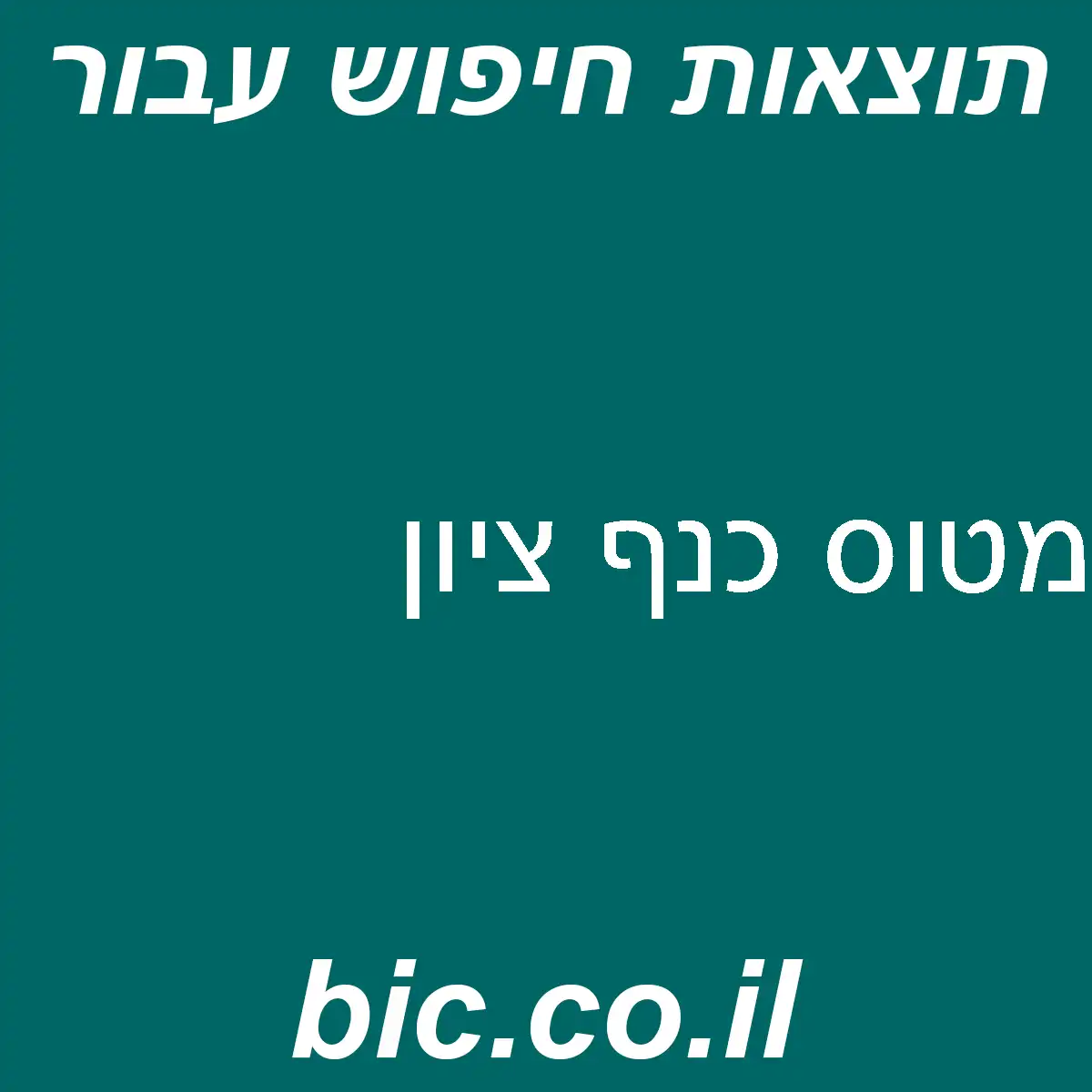 ﻿מטוס כנף ציון