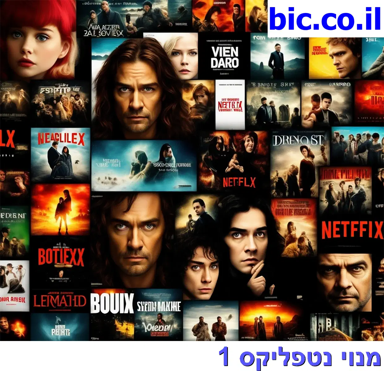 ﻿מנוי נטפליקס
