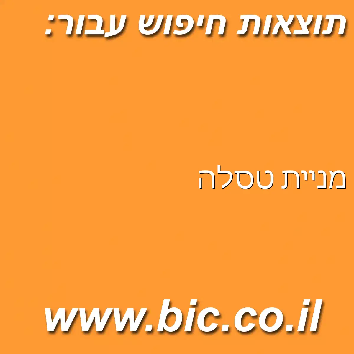﻿מניית טסלה