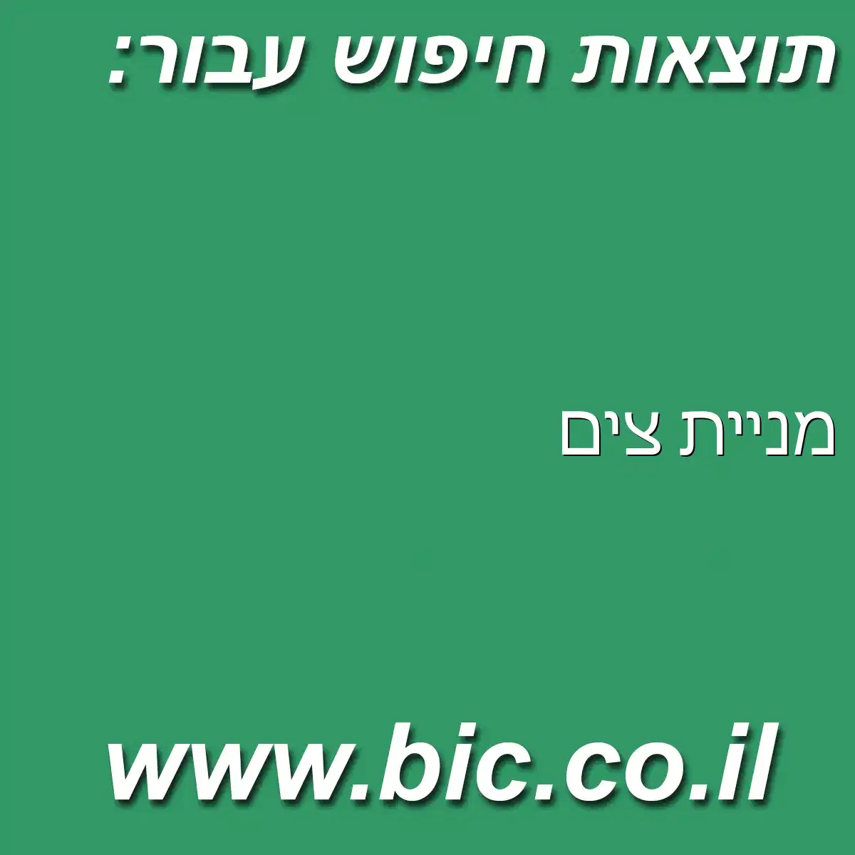 ﻿מניית צים