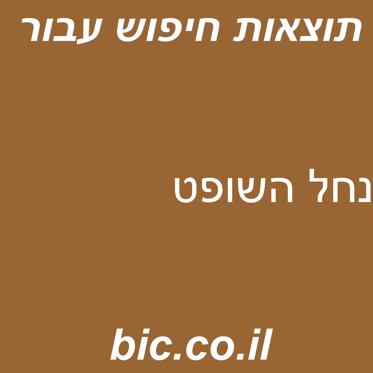 ﻿נחל השופט