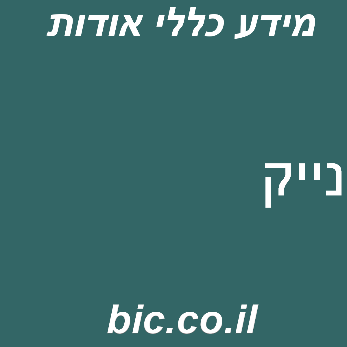 ﻿נייק