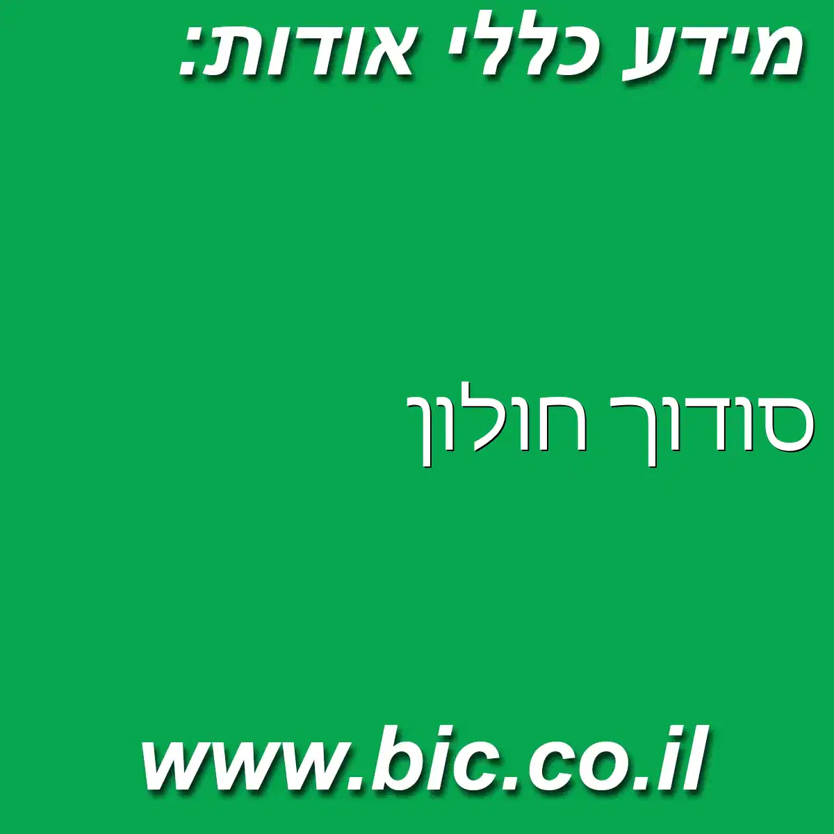 ﻿סודוך חולון