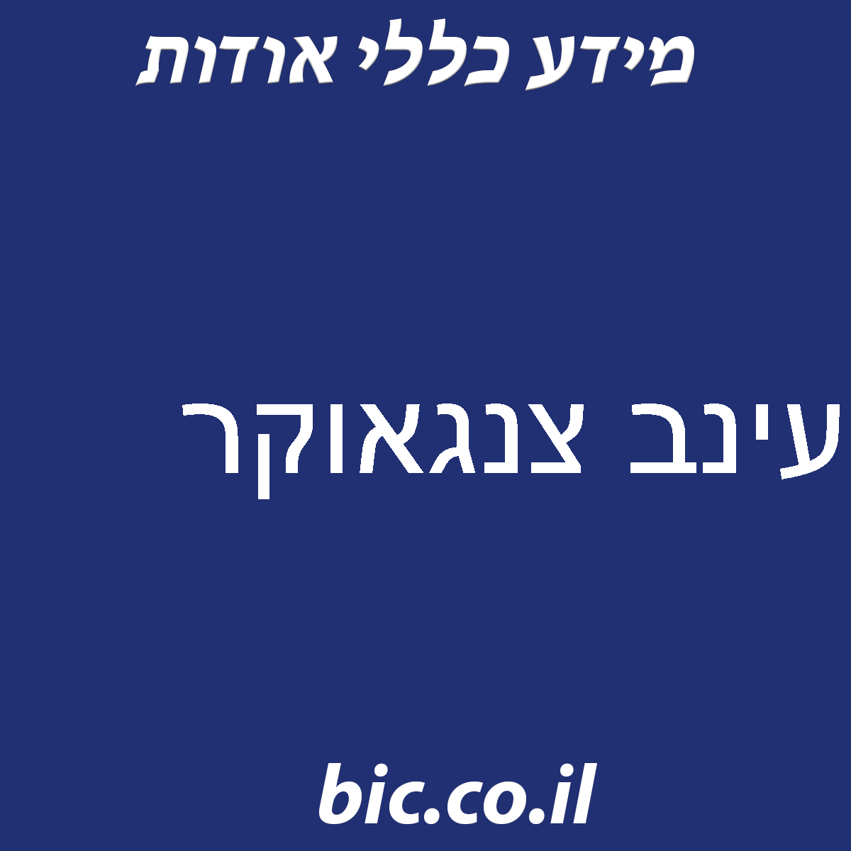 ﻿עינב צנגאוקר