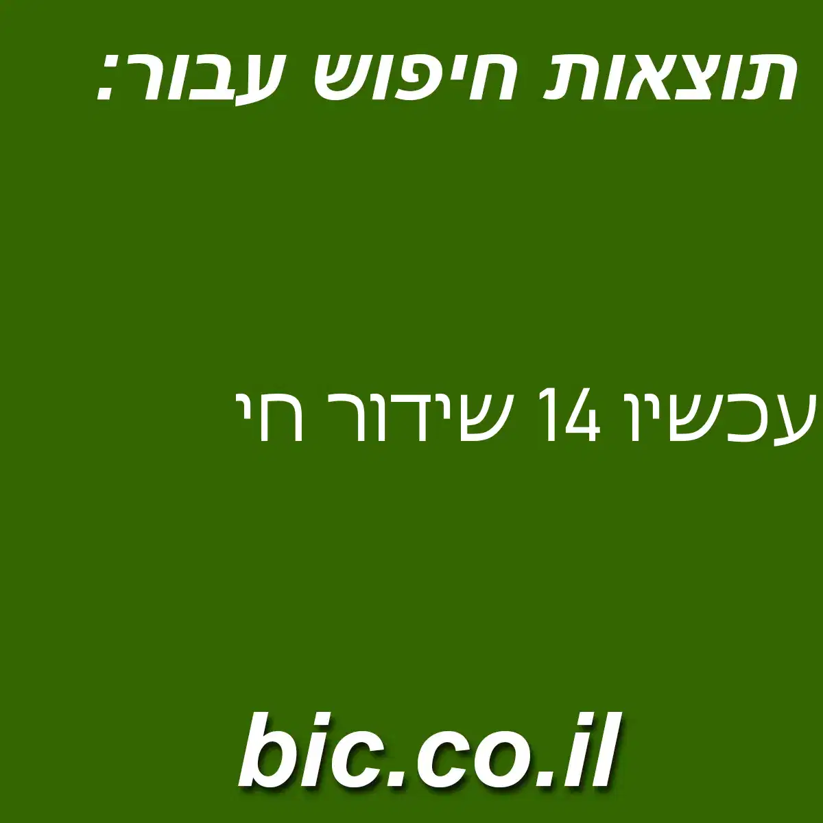 ﻿עכשיו 14 שידור חי