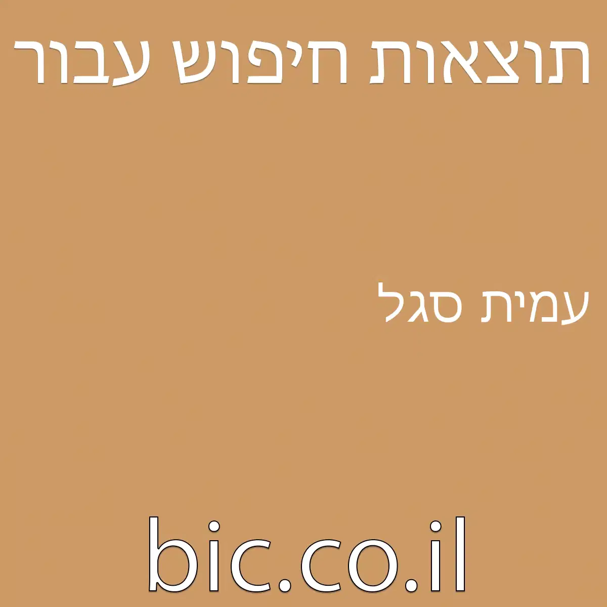 ﻿עמית סגל