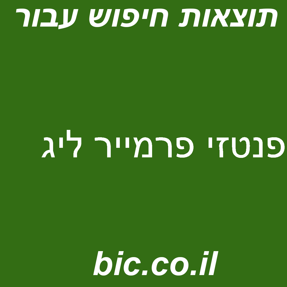 ﻿פנטזי פרמייר ליג
