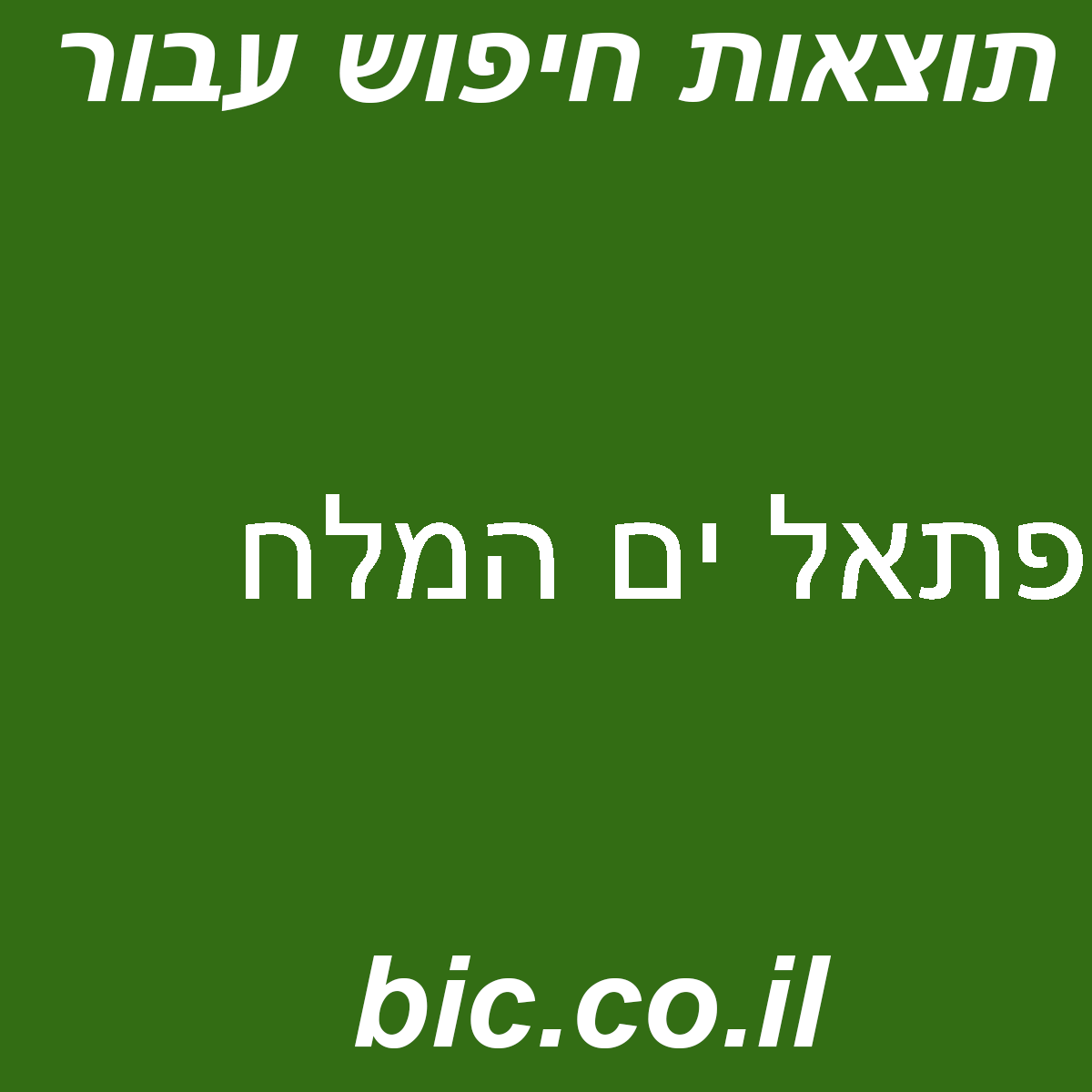 ﻿פתאל ים המלח