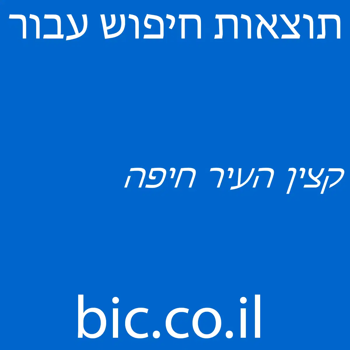 ﻿קצין העיר חיפה