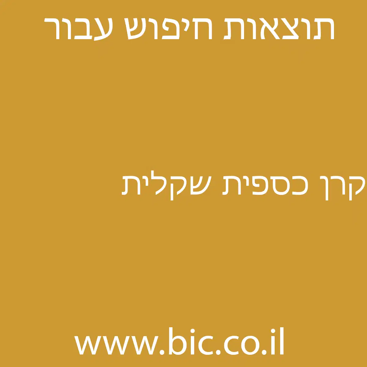 ﻿קרן כספית שקלית