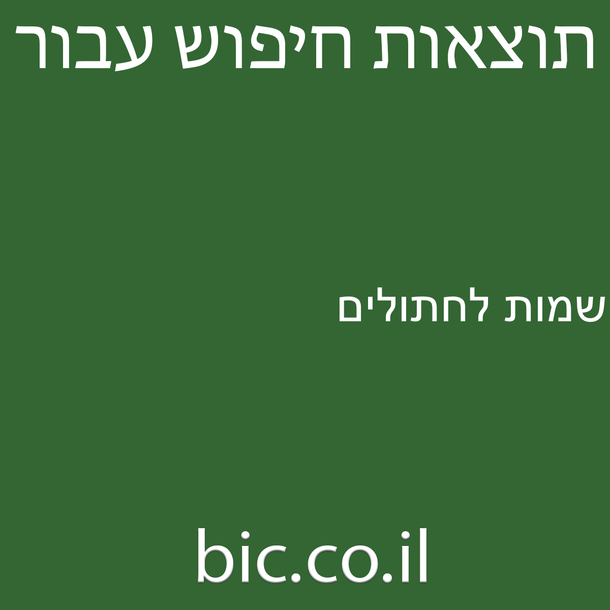 ﻿שמות לחתולים