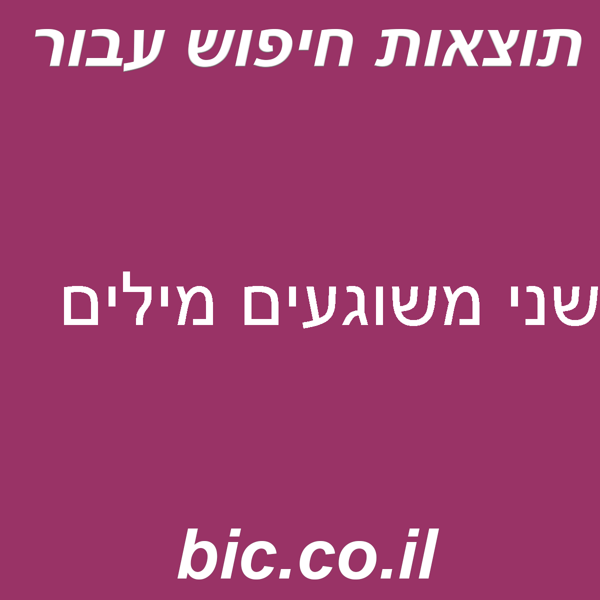 ﻿שני משוגעים מילים