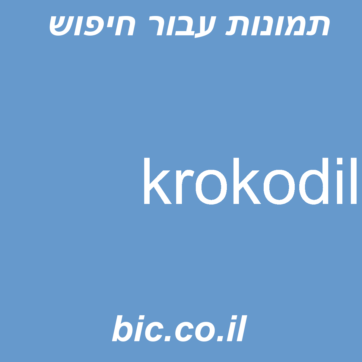 ﻿krokodil