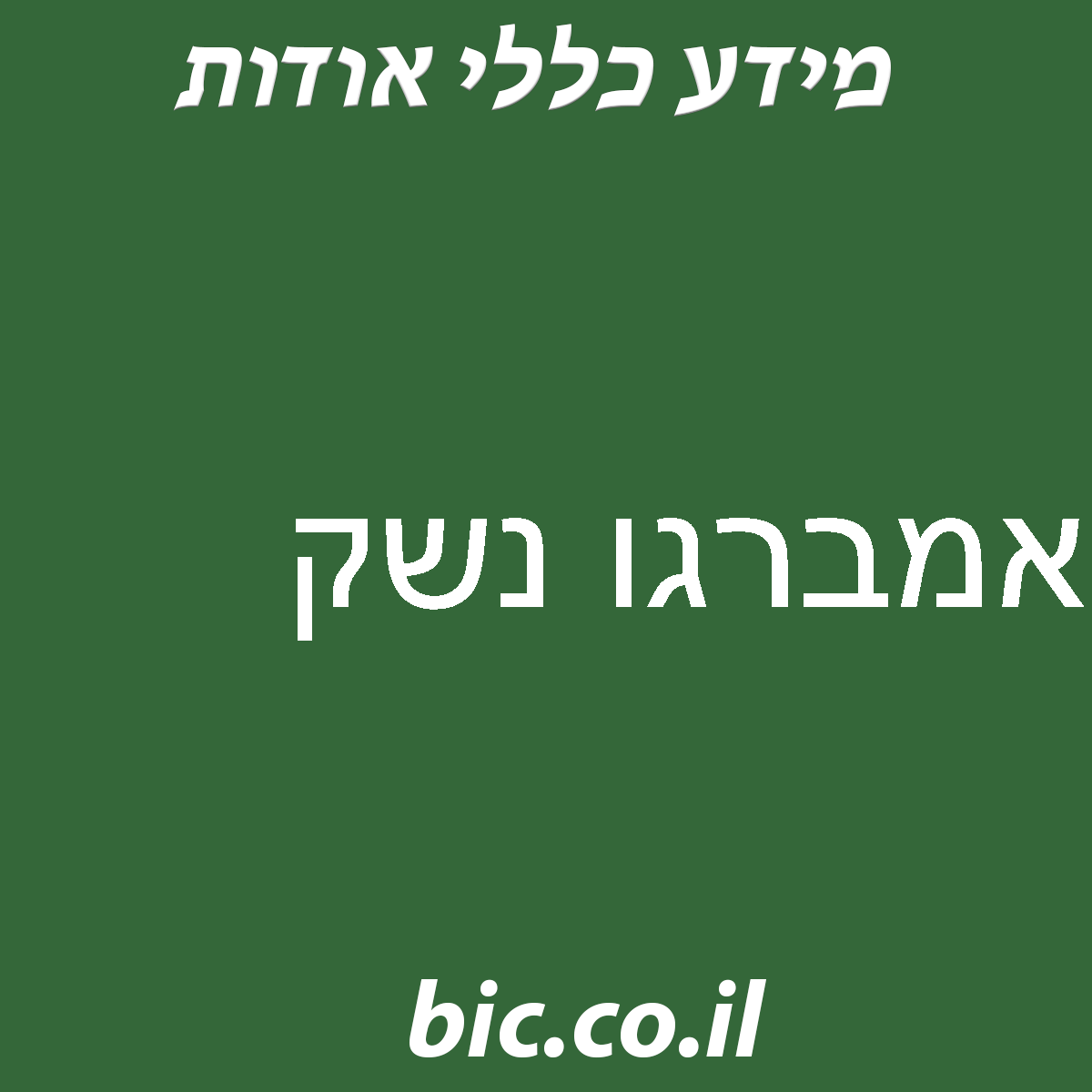 ﻿אמברגו נשק