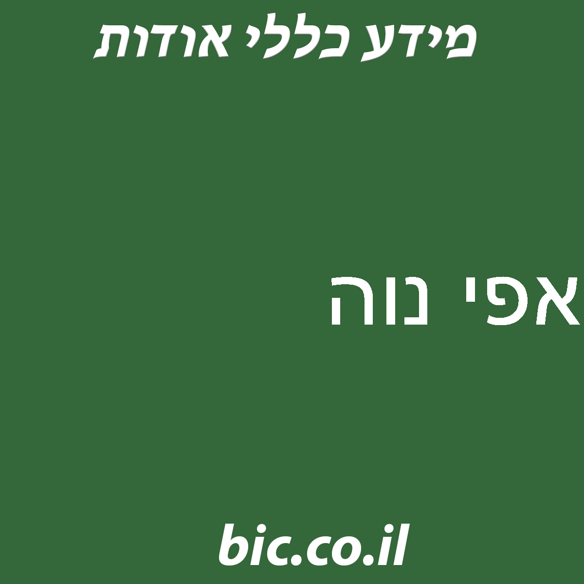 ﻿אפי נוה