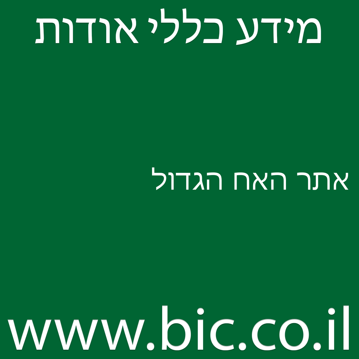 ﻿אתר האח הגדול