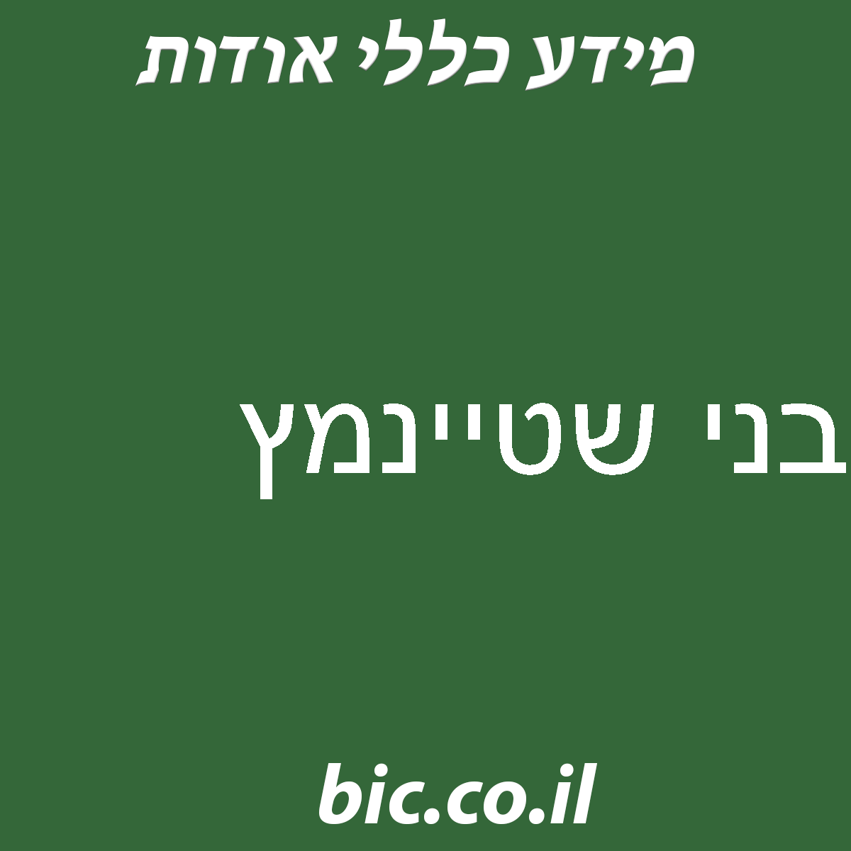 ﻿בני שטיינמץ