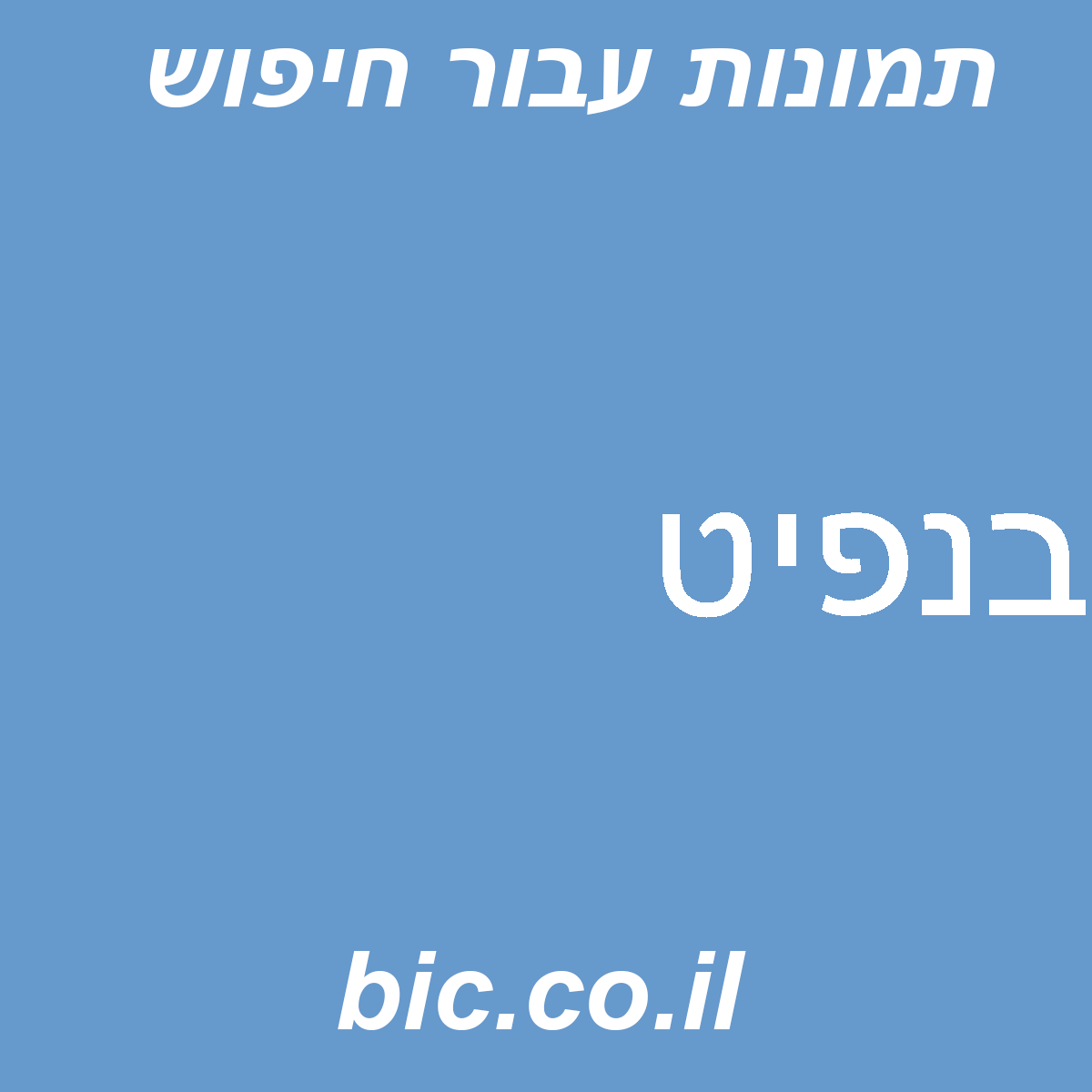 ﻿בנפיט
