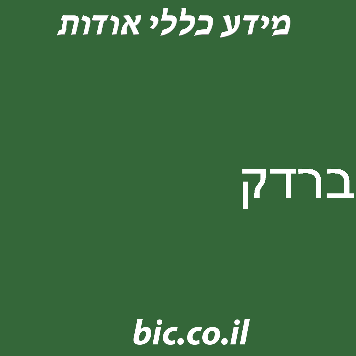 ﻿ברדק