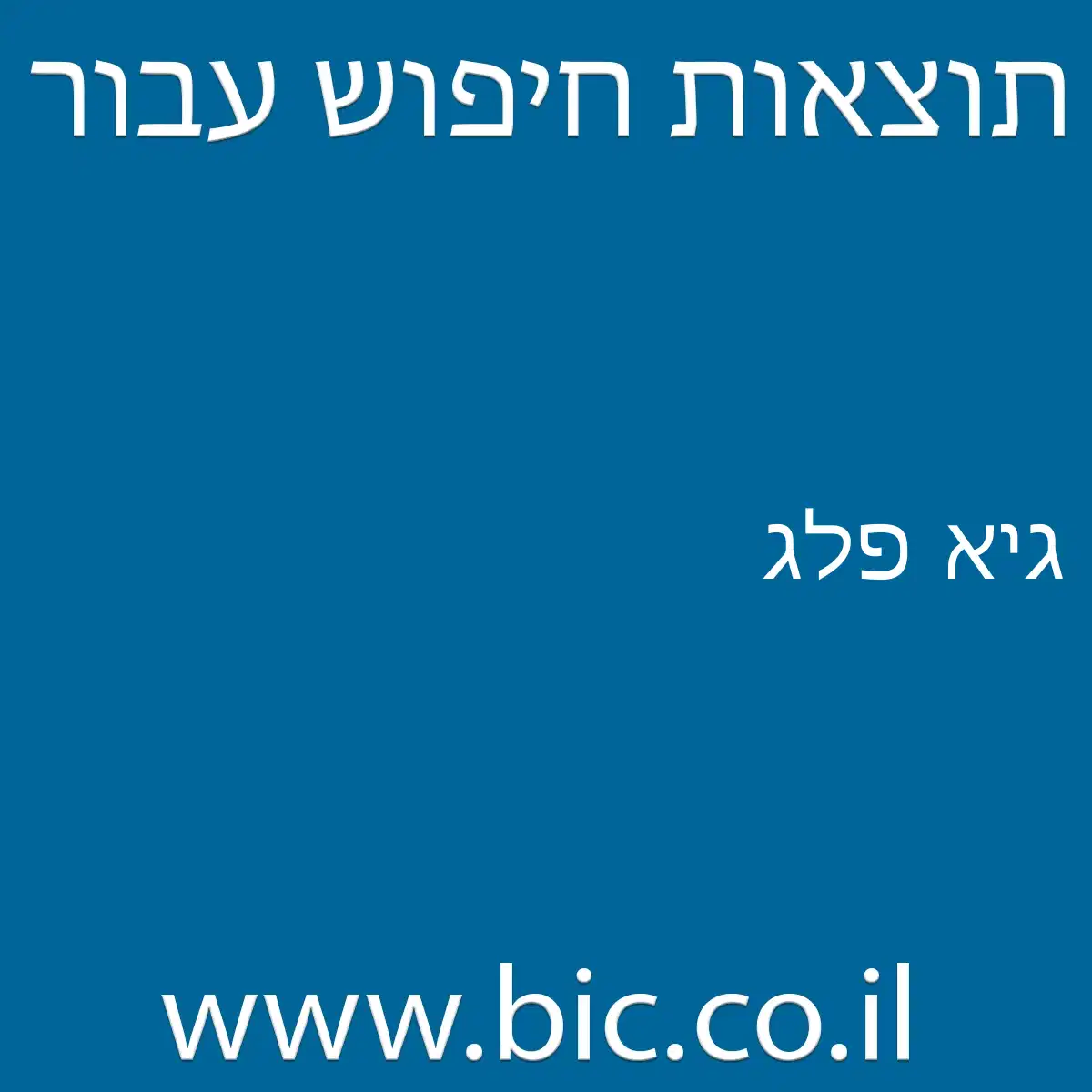 ﻿גיא פלג