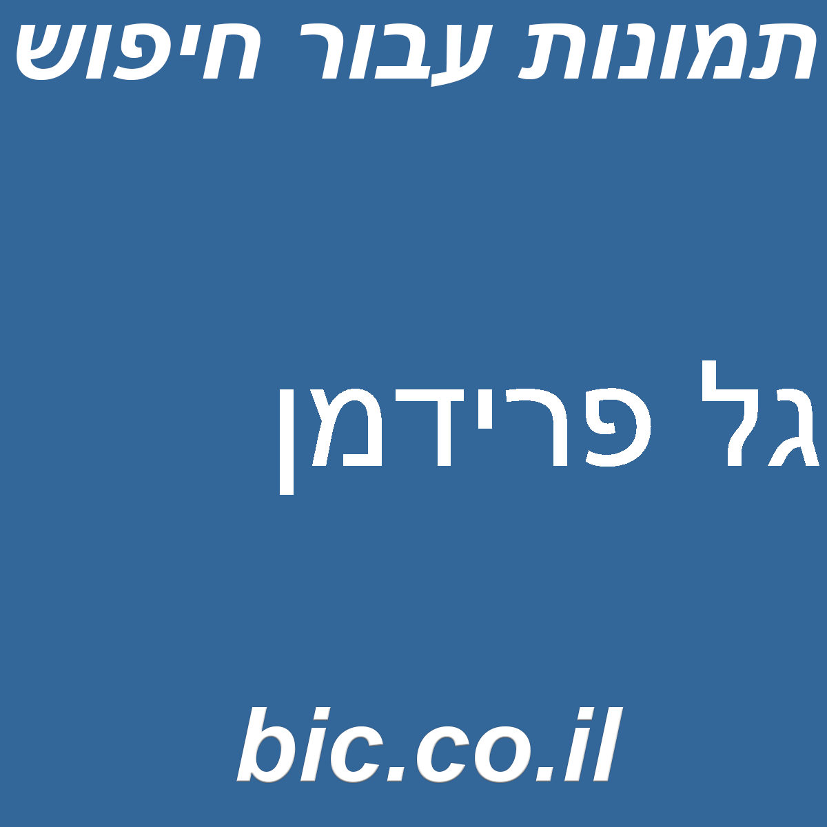 ﻿גל פרידמן