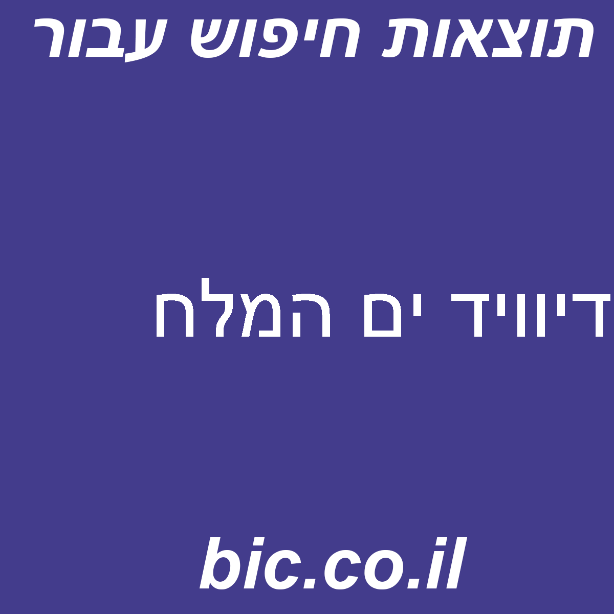 ﻿דיוויד ים המלח
