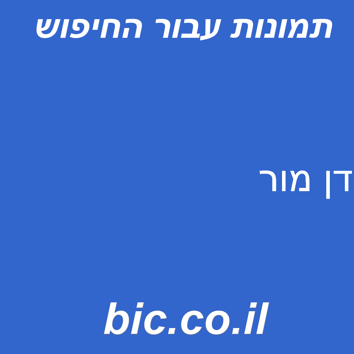 ﻿דן מור