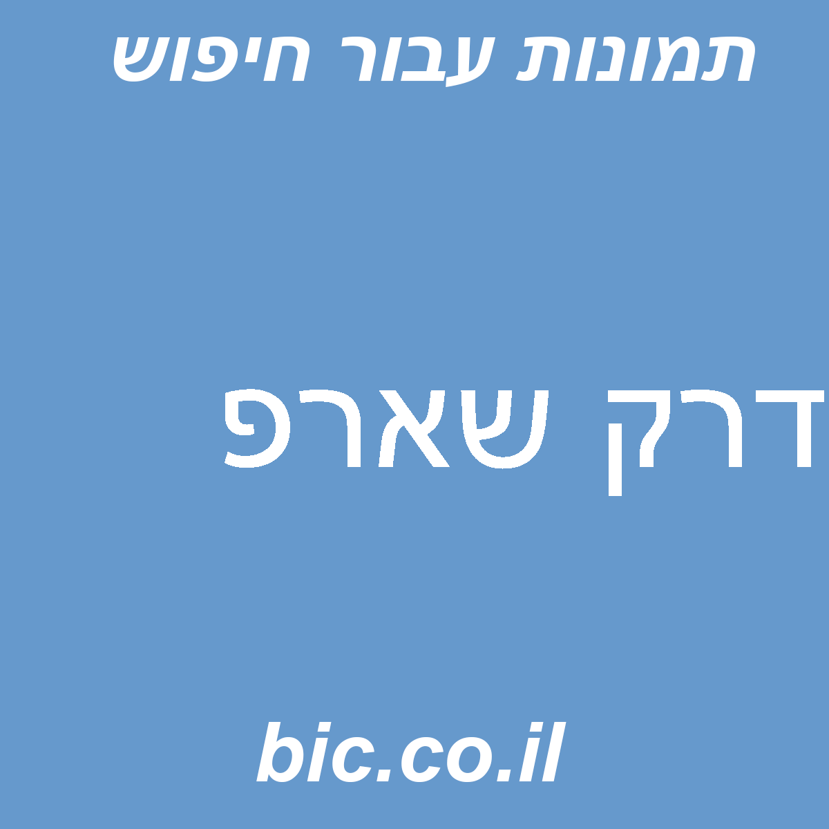 ﻿דרק שארפ