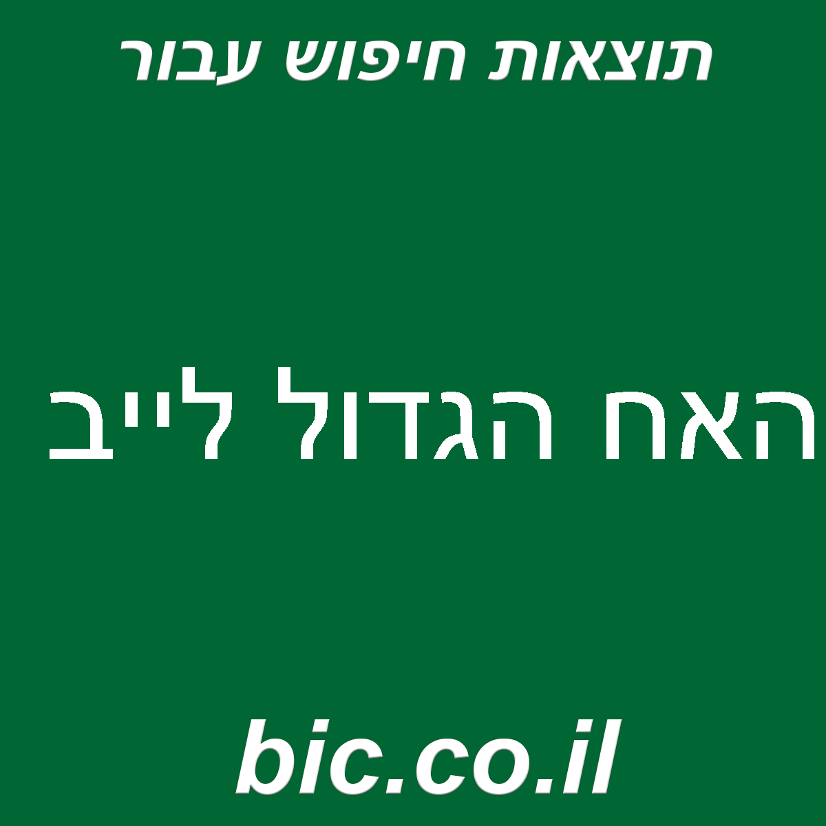 ﻿האח הגדול לייב