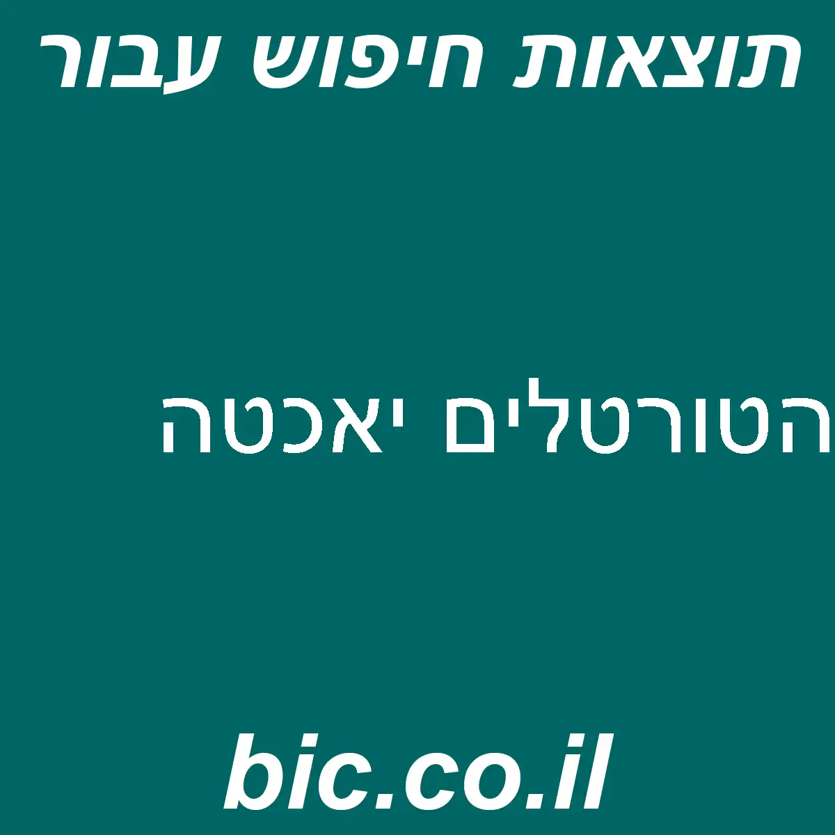 ﻿הטורטלים יאכטה